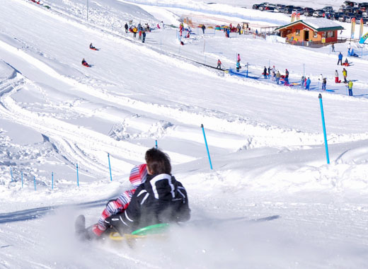 Bobsleigh and tobogganing