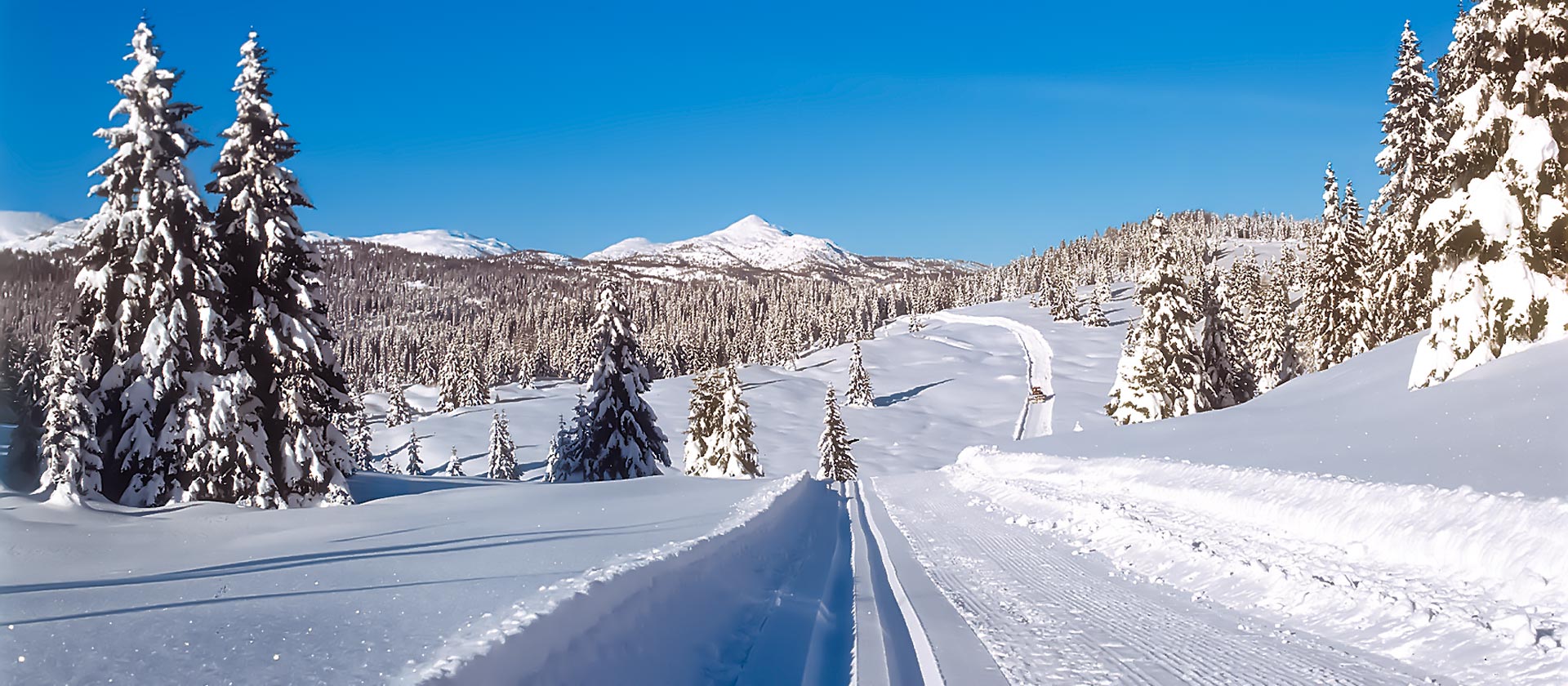 piste da fondo gallio 1