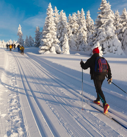 Cross country tracks