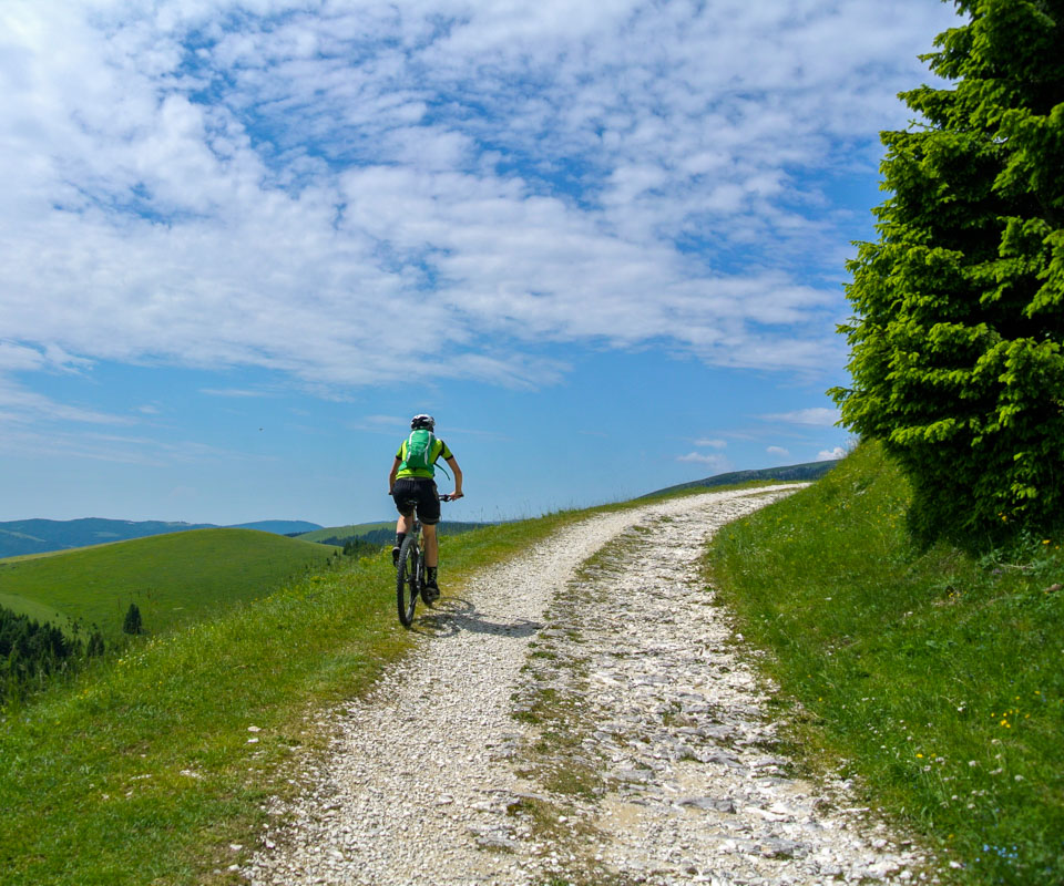 mountain bike campomulo