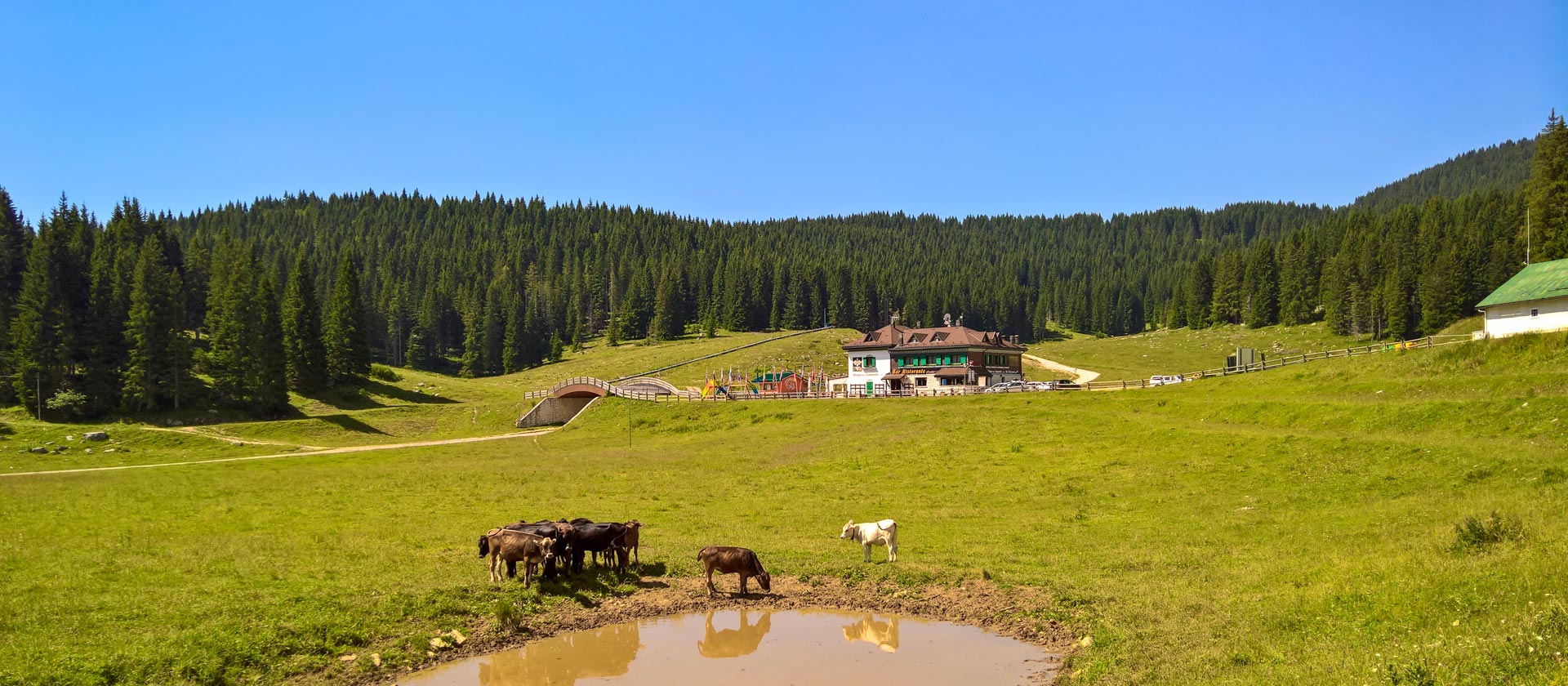 centro fondo gallio estate