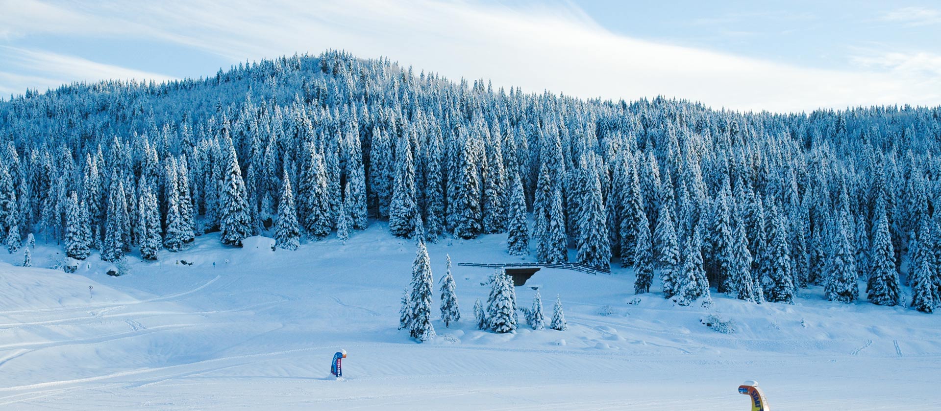 centro fondo gallio inverno