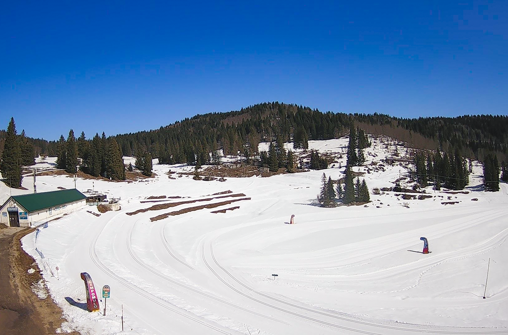 2026 03 23 campomulo w