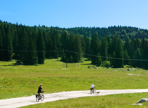 Mountainbike-Strecken